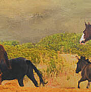 Horses Unlimited Photoart #1 Art Print