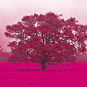 Hot Tree In A Field Of Pink Art Print