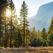 How Small We Are... Bicycling In Yosemite Art Print