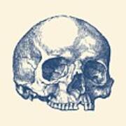 Human Skull - No Jaw - Simple View Art Print