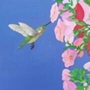Hummingbird And Petunias Art Print