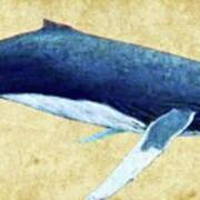 Humpback Whale Painting Art Print