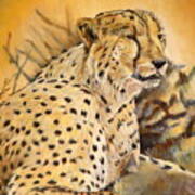 I Am Cheetah Art Print