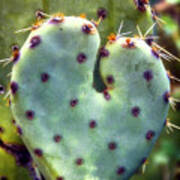 I Heart Prickly Art Print