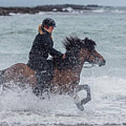 Icelandic Horse And Rider Art Print