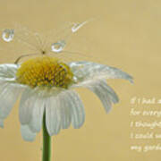 If I Had A Flower Quote Art Print