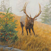 In Pursuit - Elk Art Print