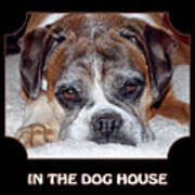 In The Dog House - Black Art Print