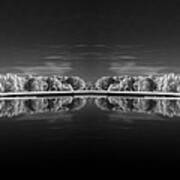 Infrared Reflections Art Print