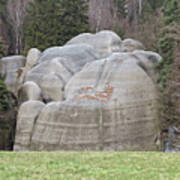 Interesting Rock Formation - Elephant Rocks Art Print