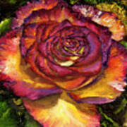 Intimate Rose Art Print