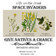Invasive Species Nevada County, California Art Print
