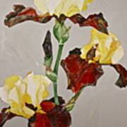 Irises-posthumously Presented Paintings Of Sachi Spohn Art Print