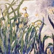 Irises Revisited Art Print