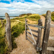 Island Gate Art Print