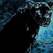 Jaguar At Night Art Print