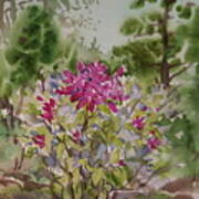 Japanese Garden Rhodie 1 Art Print