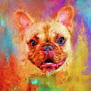 Jazzy French Bulldog Colorful Dog Art By Jai Johnson Art Print