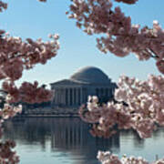 Jefferson Memorial At Cherry Blossom Time On The Tidal Basin Ds008 Art Print