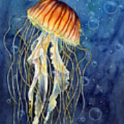 Jellyfish Art Print