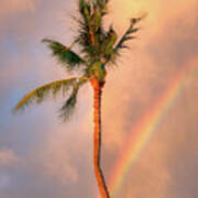 Kahekili Beach Park Rainbow Palm Art Print