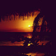 Kamaole Tropical Nights Sunset Gold Purple Palm Art Print
