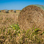 Kansas Farming #3 Art Print