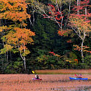 Kayaking In Autumn Art Print