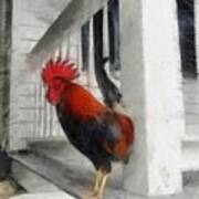 Key West Porch Rooster Art Print
