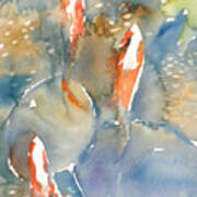 Koi Fish No.9 16x20 Art Print