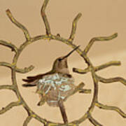 Lady Hummingbird On Her Nest Art Print