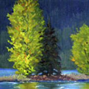 Lake Cushman Trees Art Print