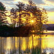 Lake Tiorati Golden Sunrise Art Print