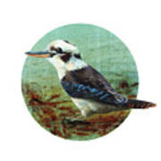 Laughing Kookaburra Art Print