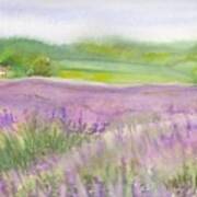 Lavender Field In Italy Art Print