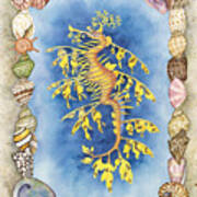 Leafy Sea Dragon Art Print