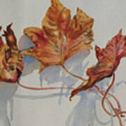 Leaves Of Fall Art Print