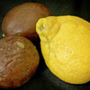 Lemon And A Pair Of Passion Fruit. Art Print