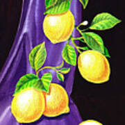 Lemons Of Sorrento Art Print