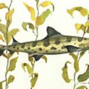 Leopard Shark Art Print