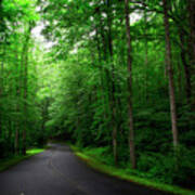 Light And Shadow On A Mountain Road Art Print