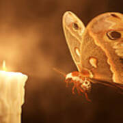 Like A Moth To A Flame Art Print