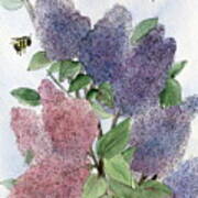 Lilacs And Bees Art Print