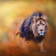 Lion - Pride Of Africa 3 - Tribute To Cecil Art Print