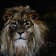 Sargas The Lion Art Print