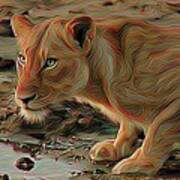 Lioness Art Print