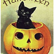 Little Black Cat Inside Carved Pumpkin Art Print