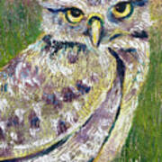 Little Owl Art Print