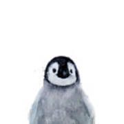 Little Penguin Art Print