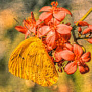 Little Golden Butterfly In Grunge Art Print